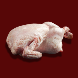 Thịt gà 