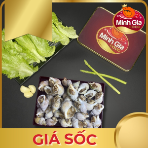 Ốc Bulot Anh - 1kg 